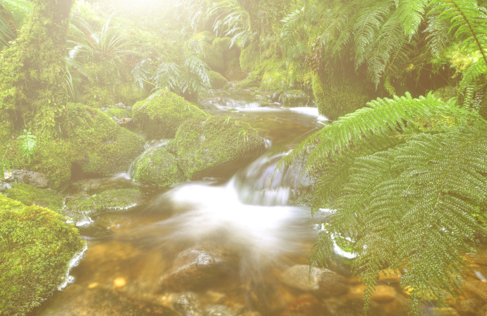 Pancake,Rocks,,Punakaiki,,South,Island,,New,Zealand.